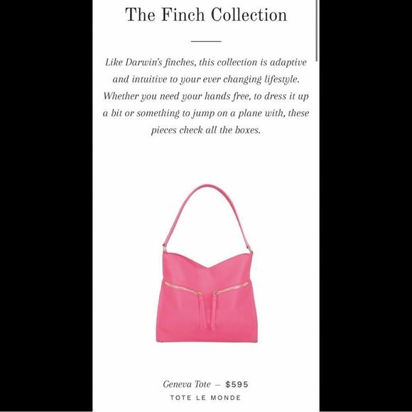 TOTE LE MONDE - The GENEVA TOTE. Spacious pocketbook can be used as a clutch. - Picture 3 of 13